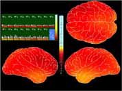 The online calculation result
